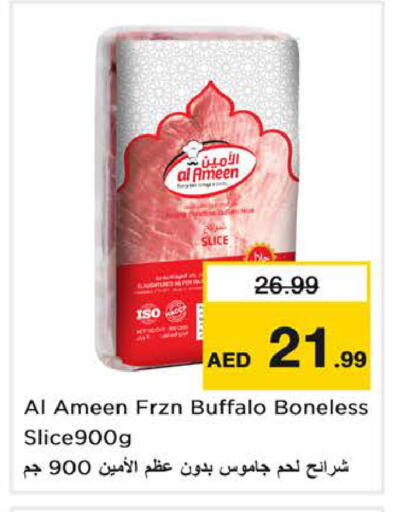 available at نستو هايبرماركت in الإمارات العربية المتحدة , الامارات - الشارقة / عجمان