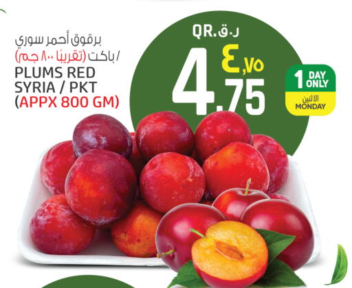 Plums from Syria available at كنز ميني مارت in قطر - الخور