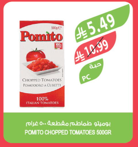 Tomato available at Farm  in KSA, Saudi Arabia, Saudi - Arar