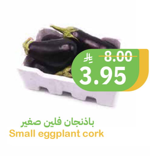 Eggplant available at Qateba Markets in KSA, Saudi Arabia, Saudi - Buraidah