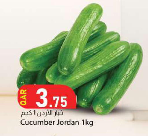 Cucumber from Jordan available at Dana Market in Qatar - Al Rayyan