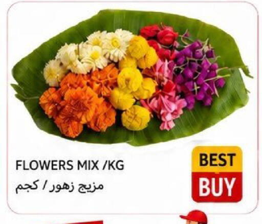 available at Rawabi Market Ajman in UAE - Sharjah / Ajman