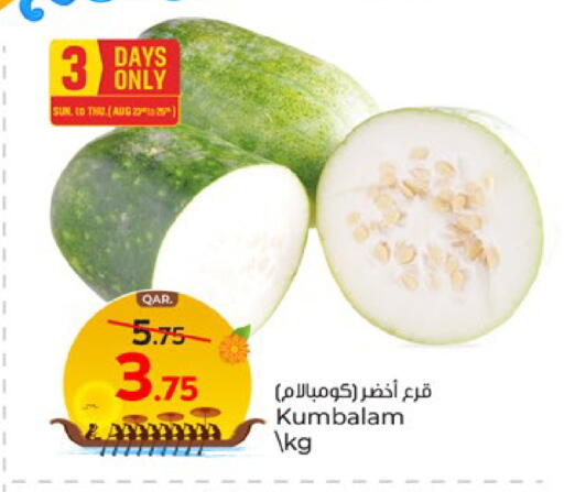 available at باريس هايبرماركت in قطر - الشحانية