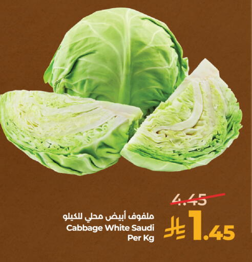 Cabbage from Saudi Arabia available at لولو هايبرماركت in مملكة العربية السعودية, السعودية, سعودية - عنيزة