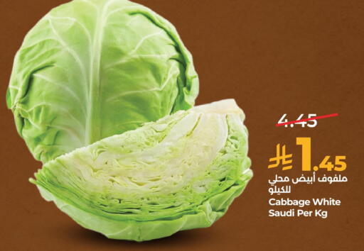 Cabbage from Saudi Arabia available at لولو هايبرماركت in مملكة العربية السعودية, السعودية, سعودية - المنطقة الشرقية