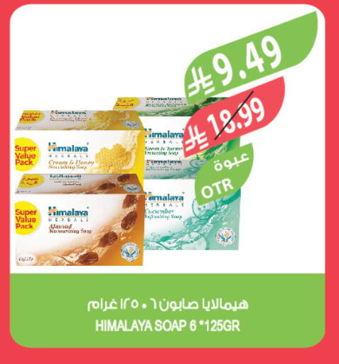 available at المزرعة in مملكة العربية السعودية, السعودية, سعودية - القطيف‎
