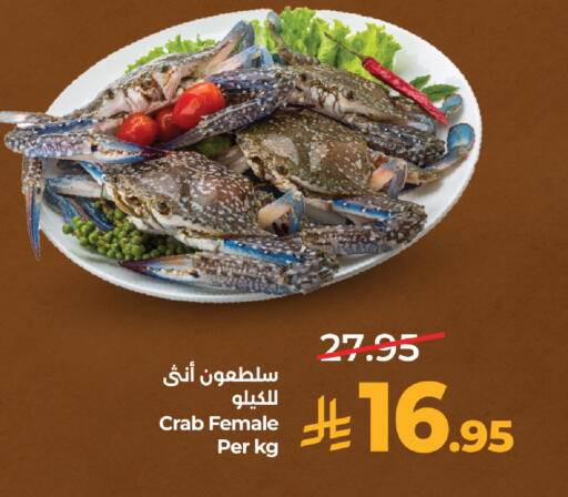 available at لولو هايبرماركت in مملكة العربية السعودية, السعودية, سعودية - مكة المكرمة