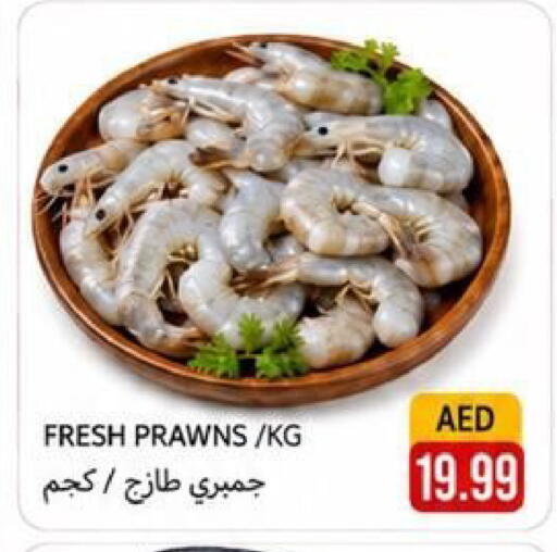 available at Rawabi Market Ajman in UAE - Sharjah / Ajman