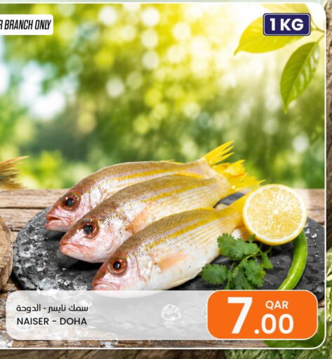 available at البلدي اليوم in قطر - الدوحة