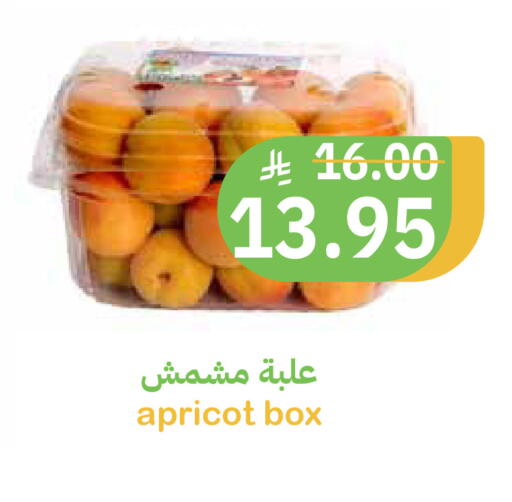 Apricot available at Qateba Markets in KSA, Saudi Arabia, Saudi - Buraidah