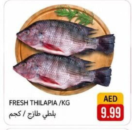 available at Rawabi Market Ajman in UAE - Sharjah / Ajman