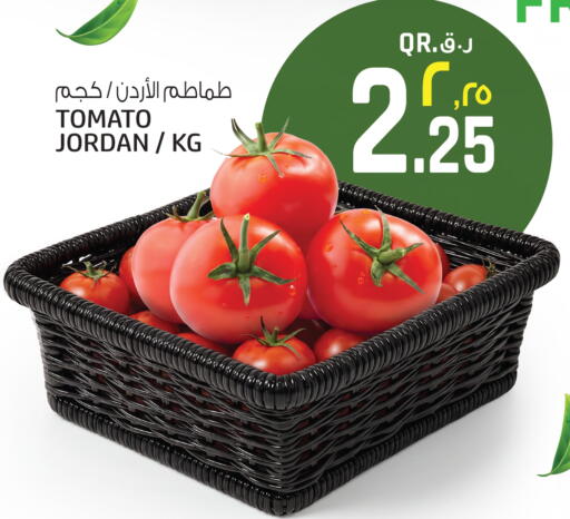 Tomato from Jordan available at السعودية in قطر - أم صلال