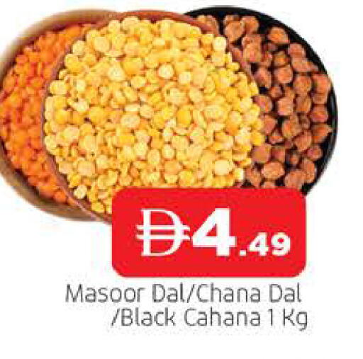 available at المدينة in الإمارات العربية المتحدة , الامارات - الشارقة / عجمان