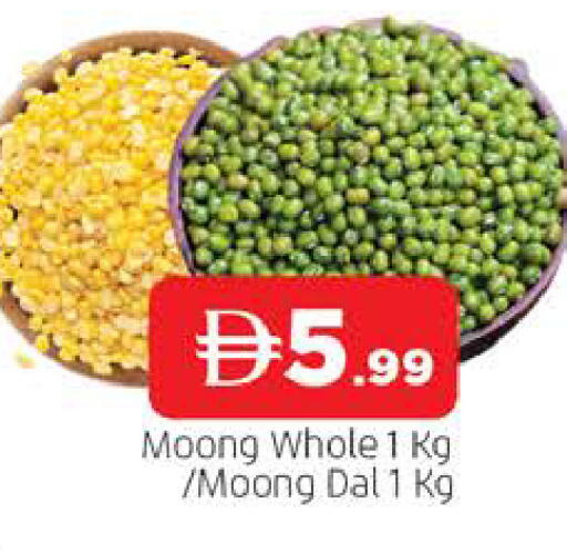 available at المدينة in الإمارات العربية المتحدة , الامارات - الشارقة / عجمان
