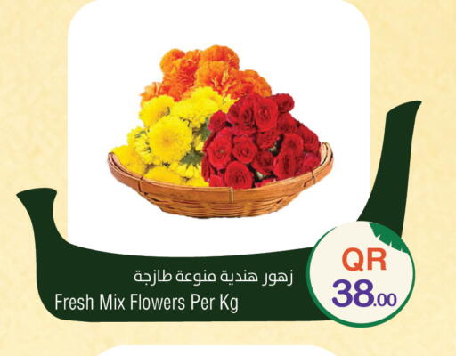 available at ميغا مارت in قطر - الضعاين