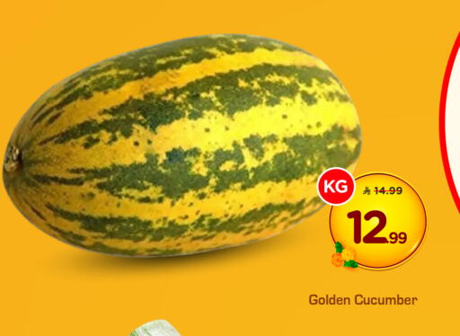 Cucumber available at Hyper Al Wafa in KSA, Saudi Arabia, Saudi - Mecca