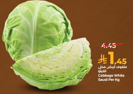 Cabbage from Saudi Arabia available at لولو هايبرماركت in مملكة العربية السعودية, السعودية, سعودية - مكة المكرمة