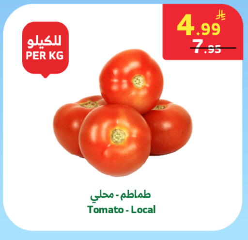 Tomato available at الراية in مملكة العربية السعودية, السعودية, سعودية - مكة المكرمة