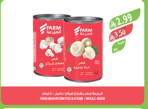 Mushroom available at المزرعة in مملكة العربية السعودية, السعودية, سعودية - القطيف‎