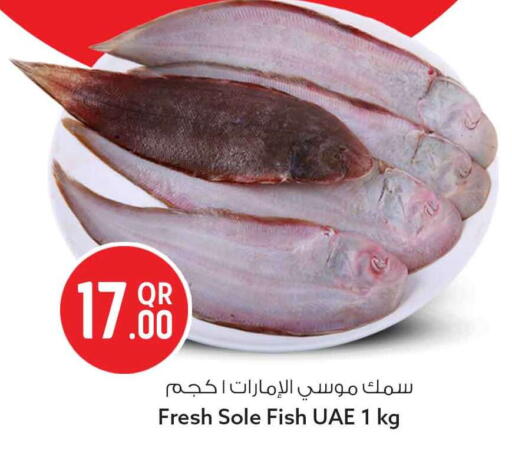 available at سفاري هايبر ماركت in قطر - الدوحة