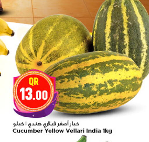 Cucumber from India available at مرزا هايبرماركت in قطر - الدوحة