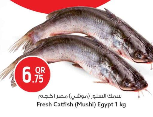 available at سفاري هايبر ماركت in قطر - الضعاين