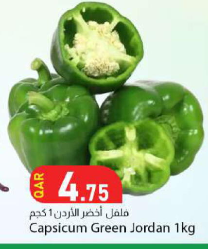 Capsicum from Jordan available at Dana Market in Qatar - Al Rayyan