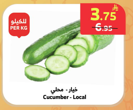 Cucumber available at Al Raya in KSA, Saudi Arabia, Saudi - Tabuk