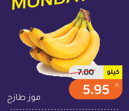 Apple available at Green Apple Market in KSA, Saudi Arabia, Saudi - Al Hasa