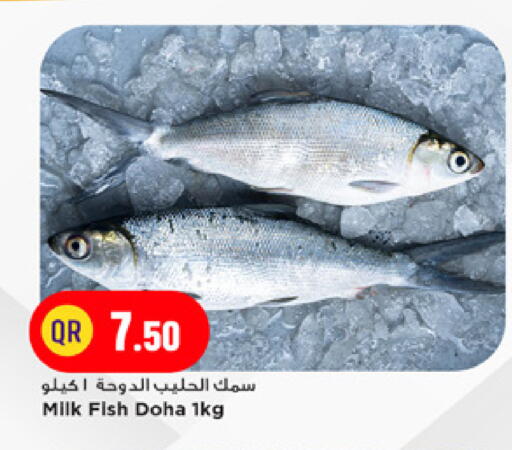 available at مرزا هايبرماركت in قطر - الضعاين