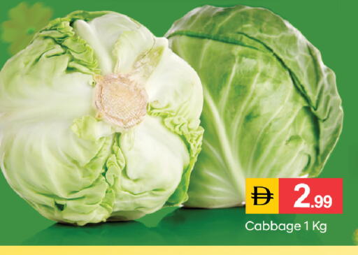 Cabbage available at سوق طلال in الإمارات العربية المتحدة , الامارات - ٱلْفُجَيْرَة‎