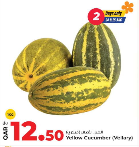 Cucumber available at روابي هايبرماركت in قطر - الشمال