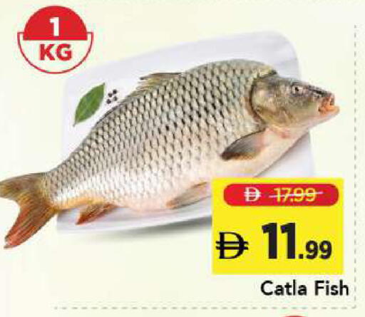 available at مارك & سيف in الإمارات العربية المتحدة , الامارات - الشارقة / عجمان