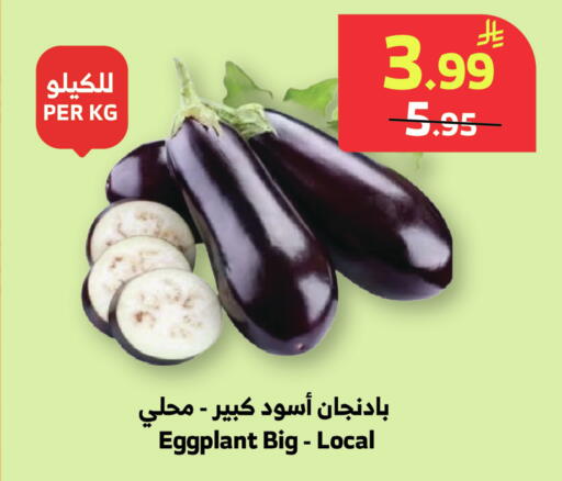 Eggplant available at Al Raya in KSA, Saudi Arabia, Saudi - Tabuk