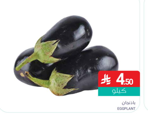 Eggplant available at اسواق المنتزه in مملكة العربية السعودية, السعودية, سعودية - القطيف‎