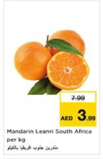 Mandarin from South Africa available at Nesto Hypermarket in UAE - Sharjah / Ajman