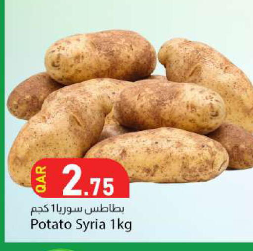 Potato from Syria available at Dana Market in Qatar - Al Rayyan