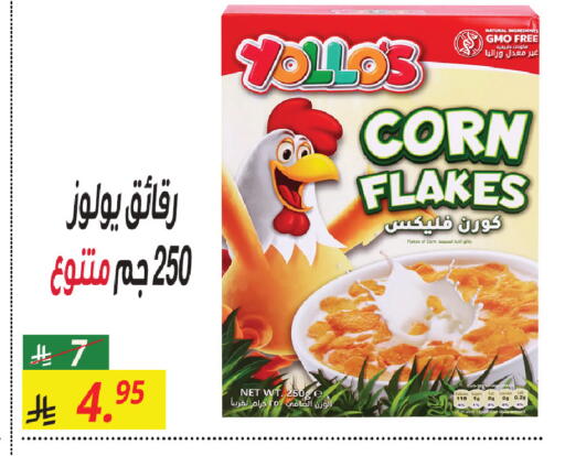 available at سنام سوبرماركت in مملكة العربية السعودية, السعودية, سعودية - مكة المكرمة