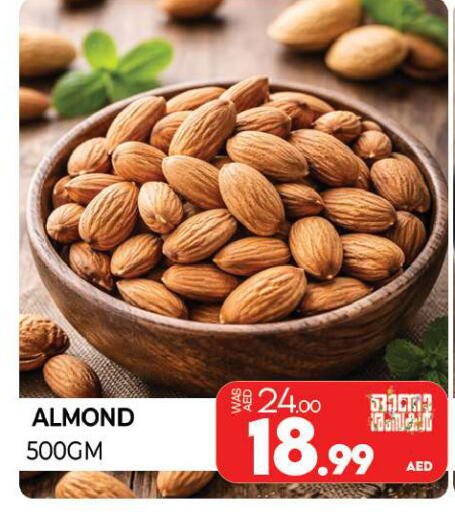 available at المدينة in الإمارات العربية المتحدة , الامارات - الشارقة / عجمان