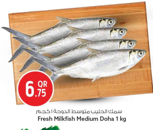 available at سفاري هايبر ماركت in قطر - الضعاين