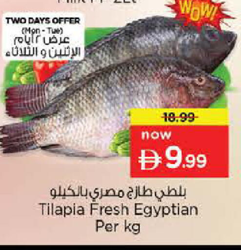 available at Nesto Hypermarket in UAE - Umm al Quwain
