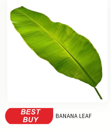 Banana available at سوق طلال in الإمارات العربية المتحدة , الامارات - الشارقة / عجمان