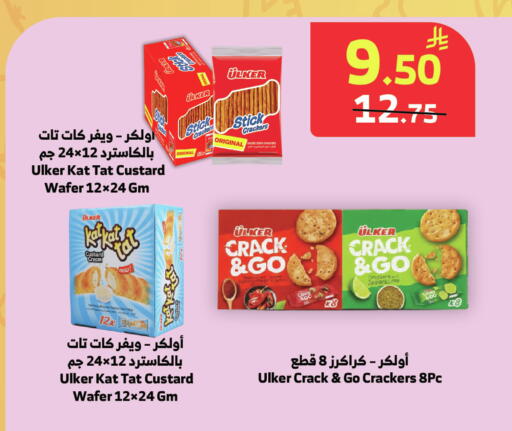 available at Al Raya in KSA, Saudi Arabia, Saudi - Bishah