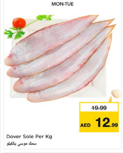 available at Nesto Hypermarket in UAE - Fujairah