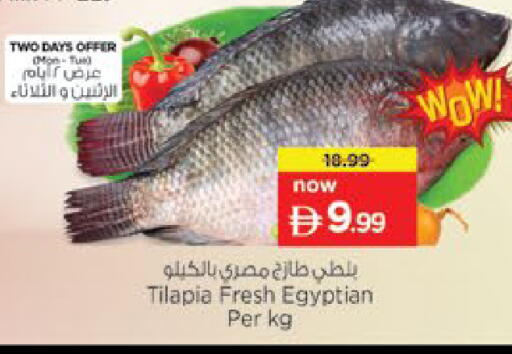 available at Nesto Hypermarket in UAE - Umm al Quwain
