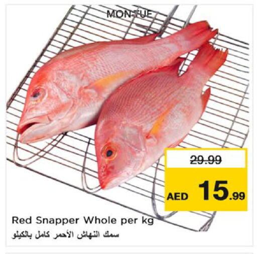 available at Nesto Hypermarket in UAE - Fujairah