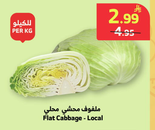 Cabbage available at الراية in مملكة العربية السعودية, السعودية, سعودية - نجران