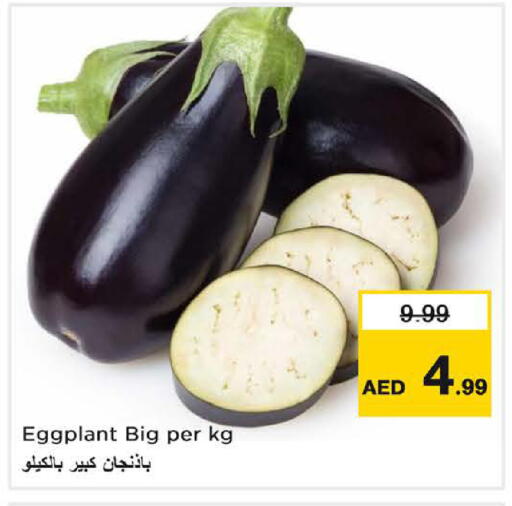 Eggplant available at Last Chance  in UAE - Fujairah