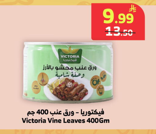 available at الراية in مملكة العربية السعودية, السعودية, سعودية - نجران