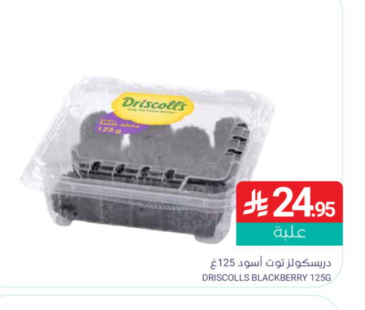 Blackberry available at Muntazah Markets in KSA, Saudi Arabia, Saudi - Qatif